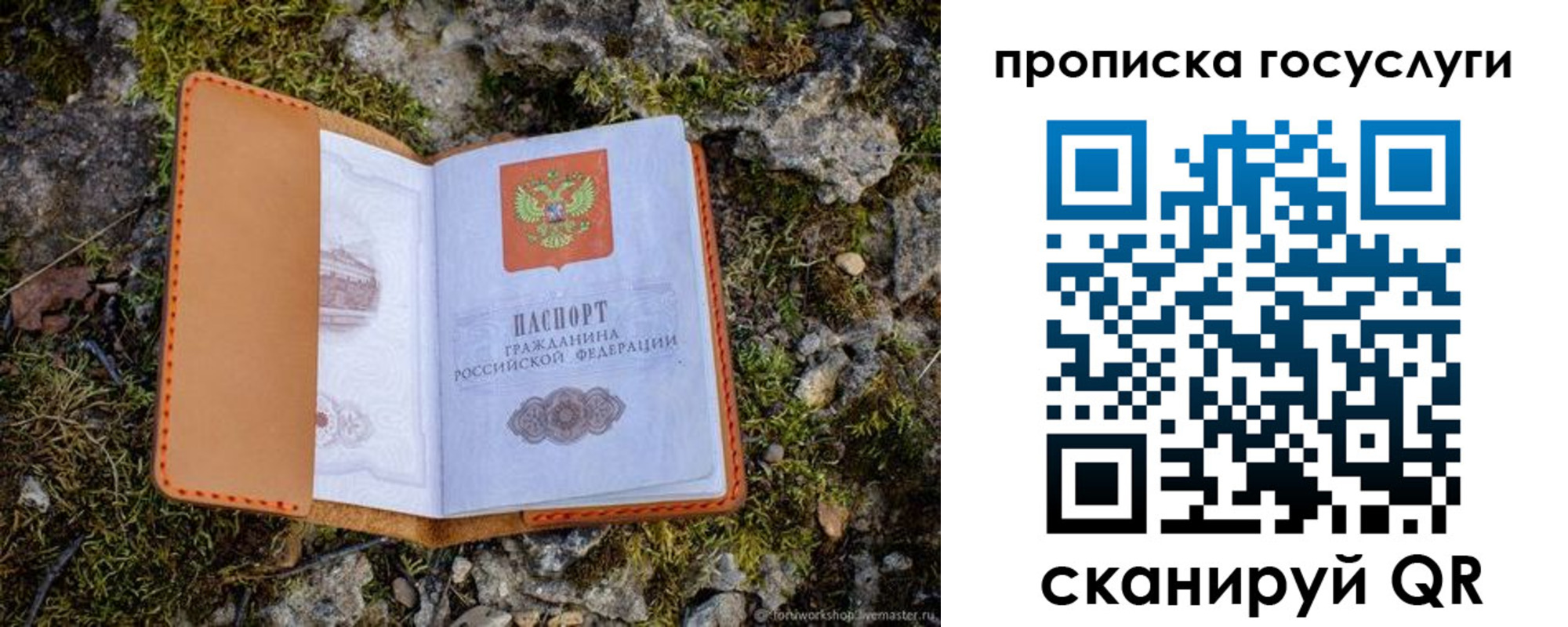 временная регистрация купить в Мончегорске